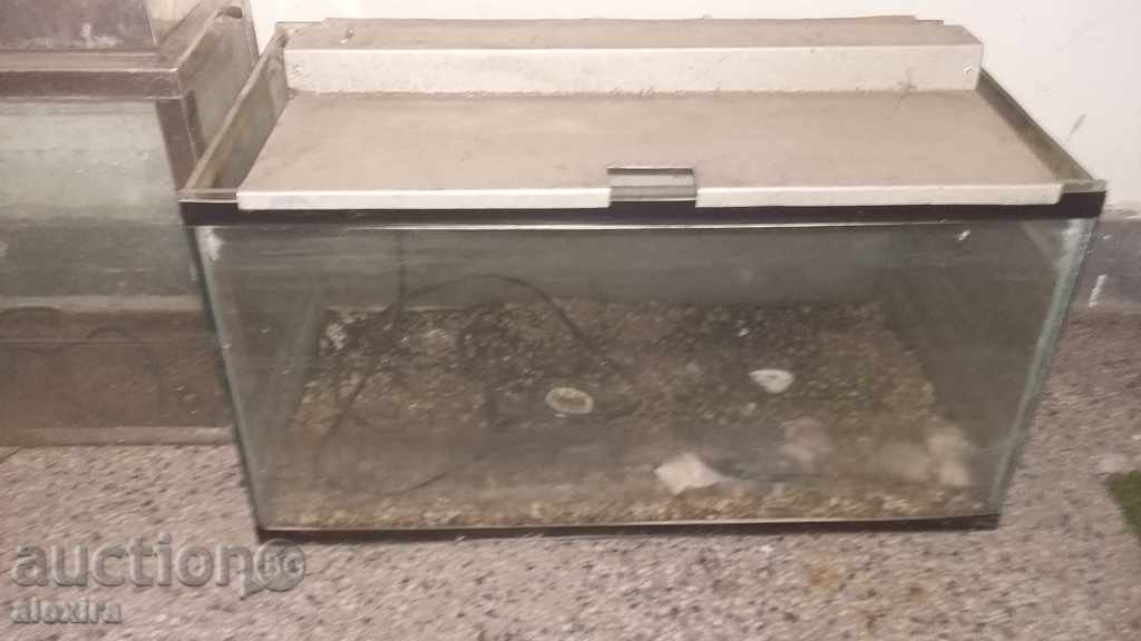 Lot doi acvariu cu preț 49.00 BGN | € 25.05