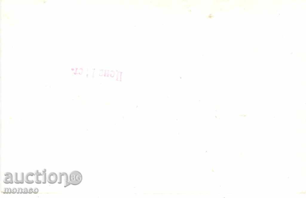 Old postcard - Rakitovo - general view with price 2.50 BGN | € 1.28 Old postcard - Rakitovo - general view with price 2.50 BGN | € 1.28