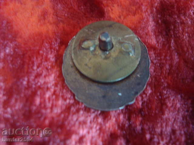 Old SIZE for DOOS, bronze, enamel, screw with price € 9.95 | 19.46 BGN