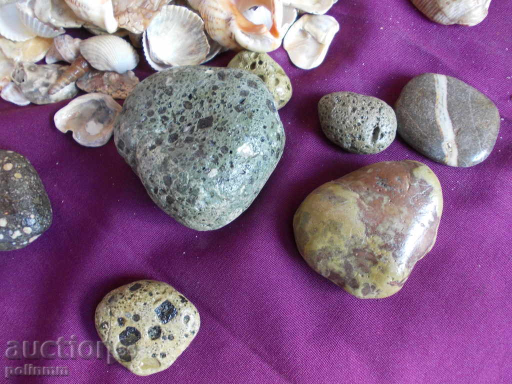 Decoration for aquariums - 2.2 kg. with price 15.00 BGN | € 7.67