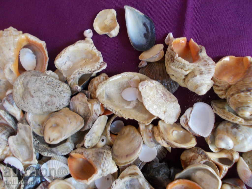 Decoration for aquariums - 2.2 kg. - 5