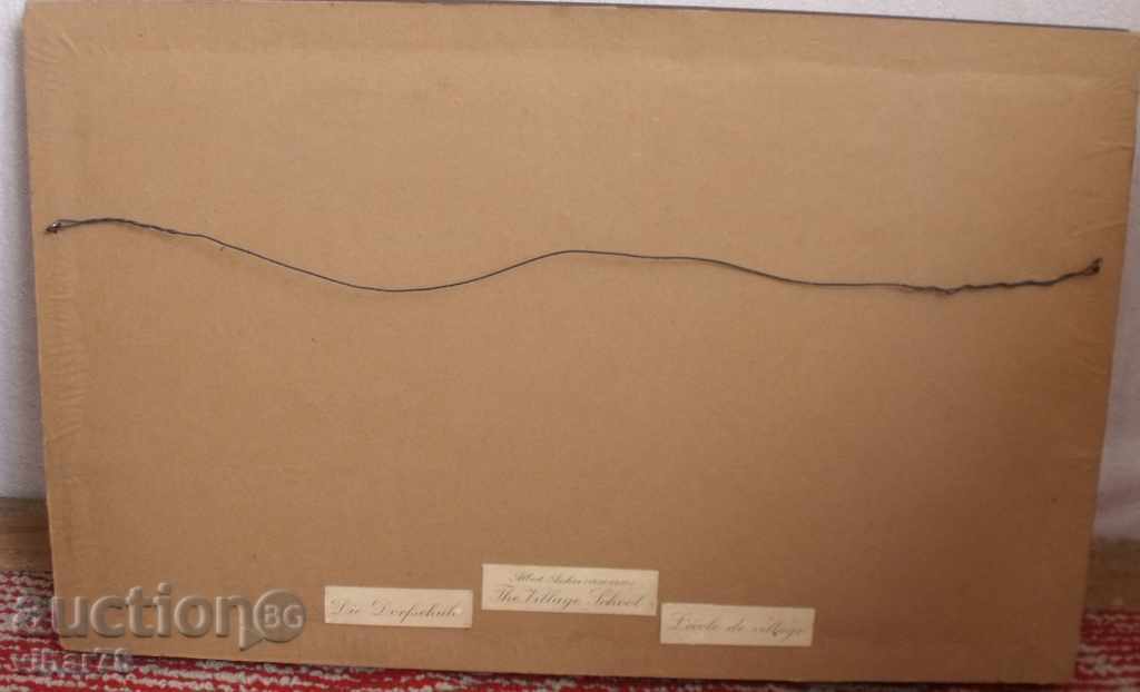 PICTURE-PRINT - 5 PICTURE-PRINT - 5