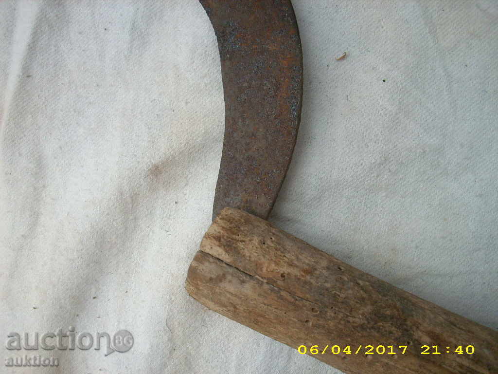 Auction STAR HORSE RIDING SURF Auction STAR HORSE RIDING SURF