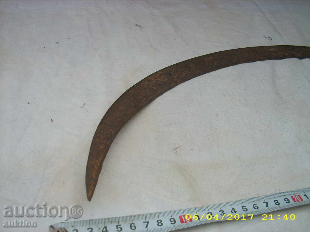 STAR HORSE RIDING SURF - 5 STAR HORSE RIDING SURF - 5