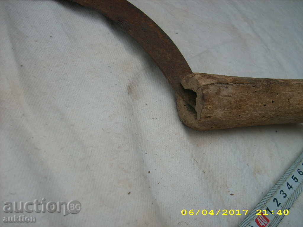 STAR HORSE RIDING SURF - 6 STAR HORSE RIDING SURF - 6