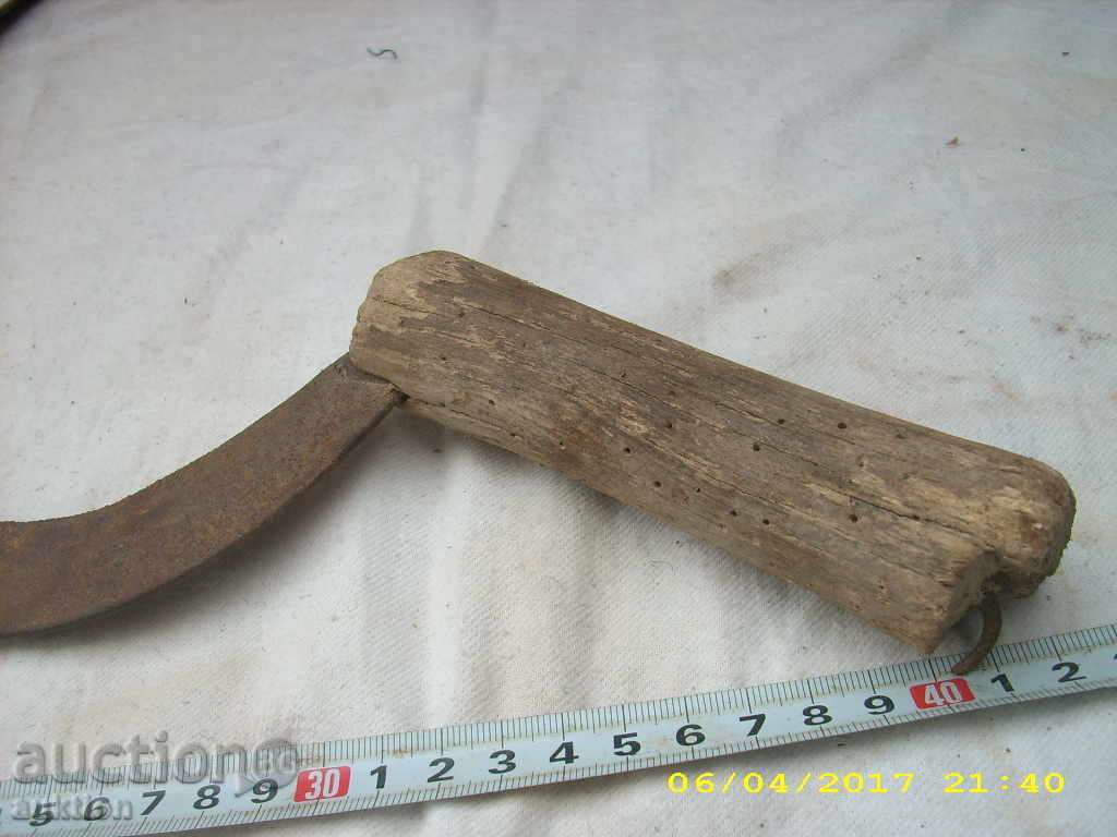 STAR HORSE RIDING SURF - 7 STAR HORSE RIDING SURF - 7