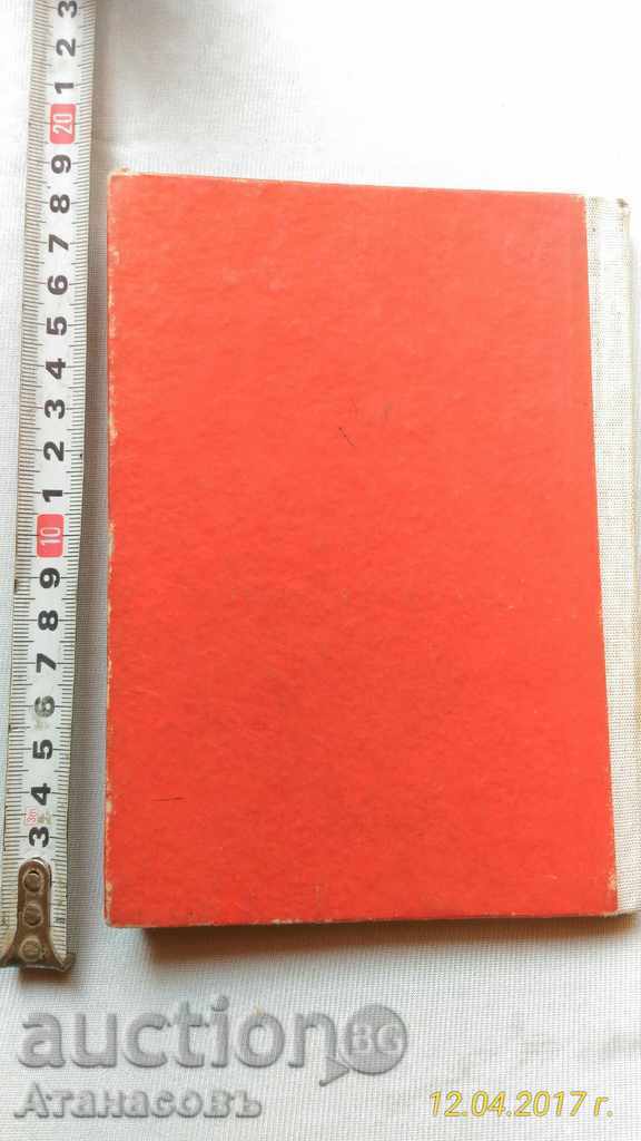 Auction Accidental Methodology at the Nuclear Power Plant Auction Accidental Methodology at the Nuclear Power Plant