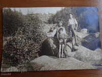 OLD PHOTO - CARD