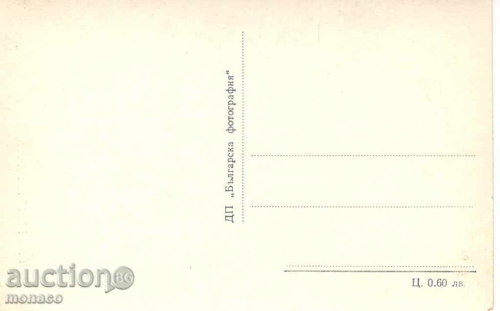 Vechea carte poștală - Batak Vizualizare cu preț 2.60 BGN | € 1.33 Vechea carte poștală - Batak Vizualizare cu preț 2.60 BGN | € 1.33