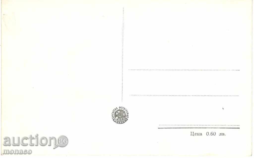 Old postcard - Batak, Vista with price 2.60 BGN | € 1.33 Old postcard - Batak, Vista with price 2.60 BGN | € 1.33