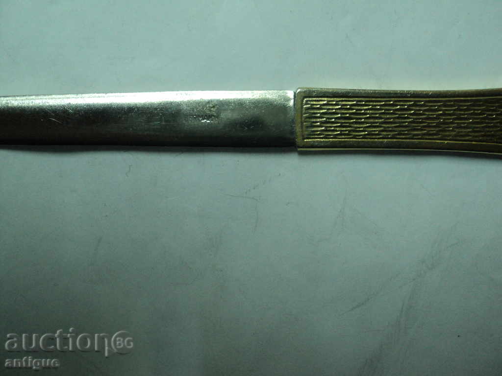 Licitație STAR CUTIT PISMA- GERMANIA-2