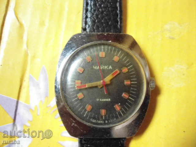 Γλάρος Γλάρος