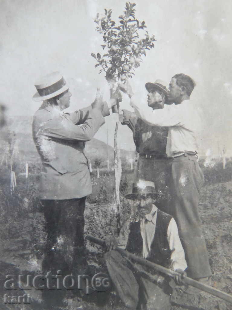 ΠΑΛΙΑ ΦΩΤΟΓΡΑΦΙΑ με τιμή 1.99 BGN | € 1.02