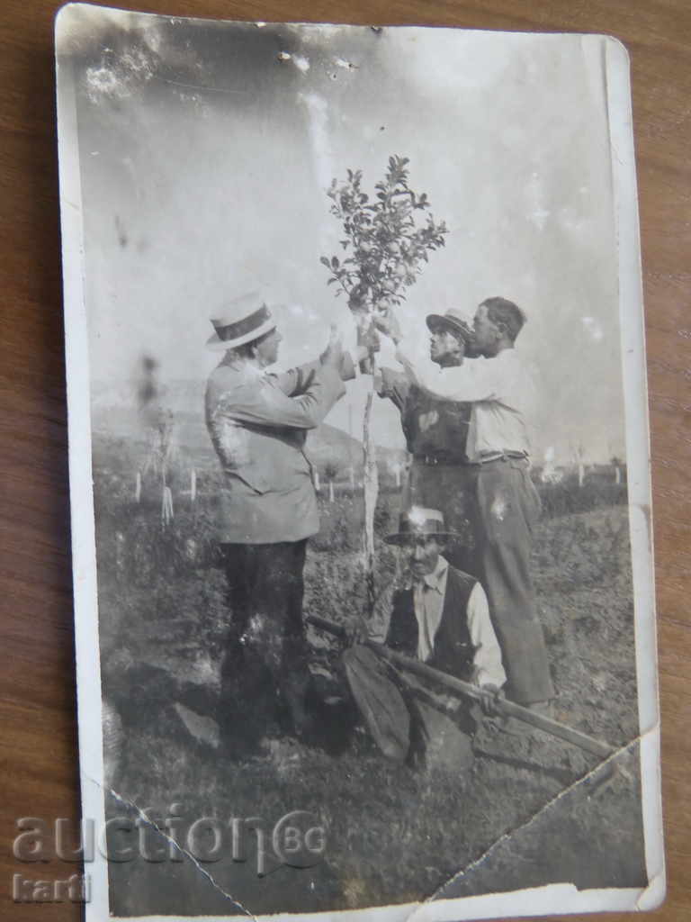СТАРА СНИМКА