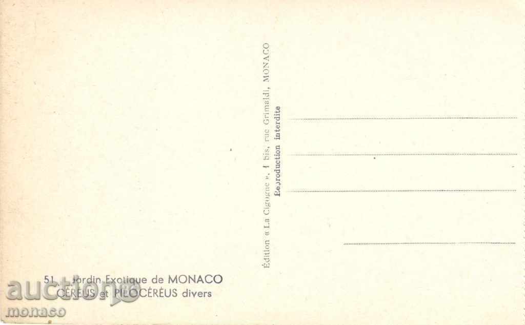 Παλιά καρτ ποστάλ - Μονακό, Βοτανικός Κήπος με τιμή 2.20 BGN | € 1.12 Παλιά καρτ ποστάλ - Μονακό, Βοτανικός Κήπος με τιμή 2.20 BGN | € 1.12