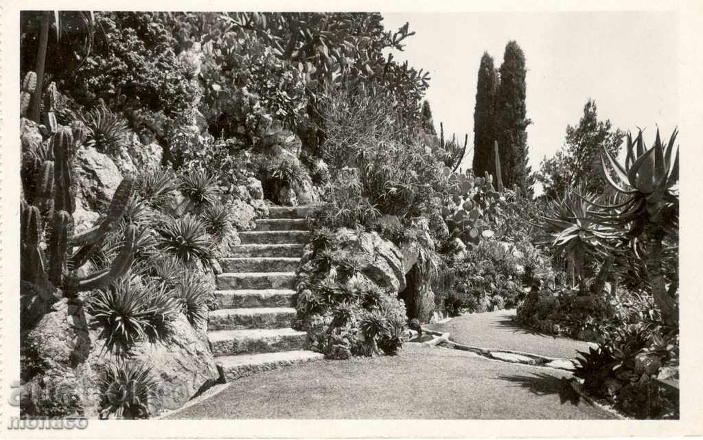 Old postcard - Monaco, Botanical Garden