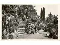 Стара пощенска картичка - Монако, Ботаническата градина