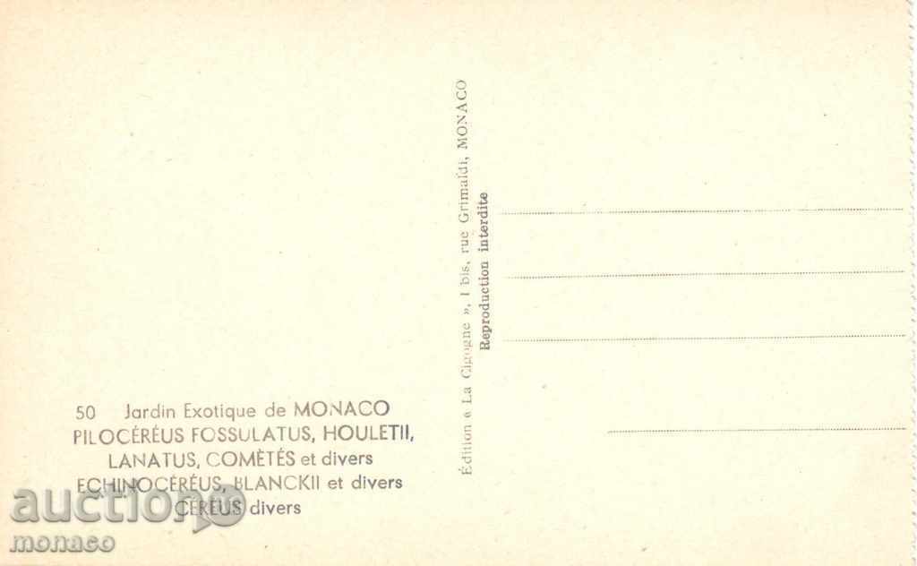Παλιά καρτ ποστάλ - Μονακό, Βοτανικός Κήπος με τιμή 2.20 BGN | € 1.12