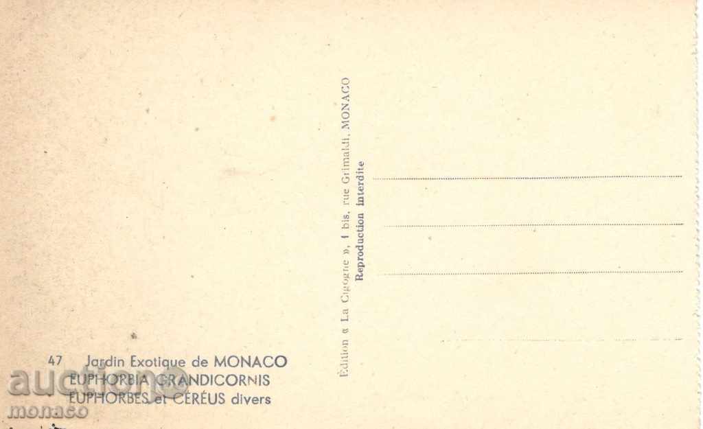 Παλιά καρτ ποστάλ - Μονακό, Βοτανικός Κήπος με τιμή 2.20 BGN | € 1.12 Παλιά καρτ ποστάλ - Μονακό, Βοτανικός Κήπος με τιμή 2.20 BGN | € 1.12