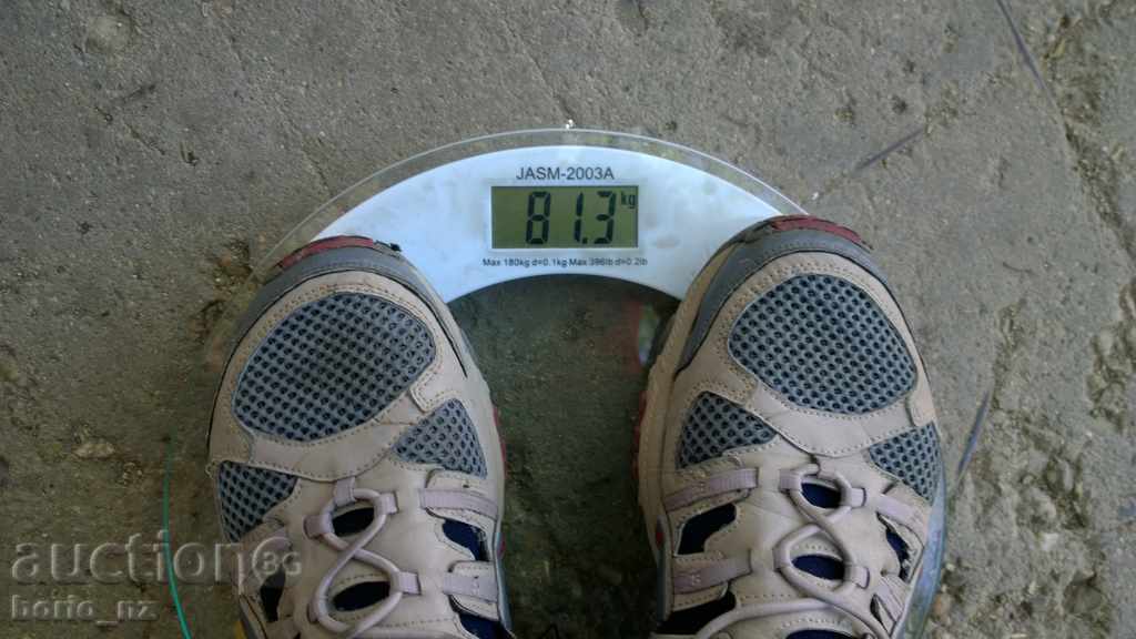 7950. DOMESTIC KANTAR WINDOW GLASS - 6