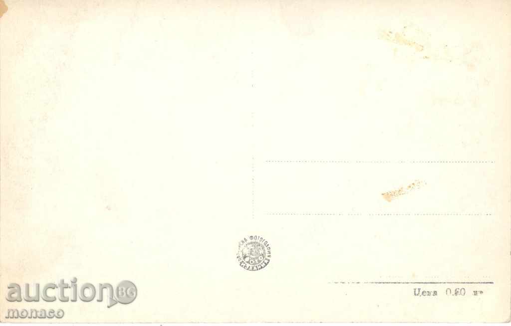 Old postcard - Levski, General view with price 2.30 BGN | € 1.18 Old postcard - Levski, General view with price 2.30 BGN | € 1.18