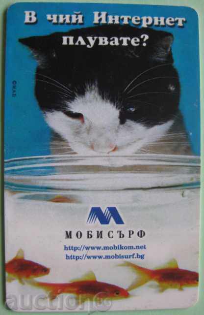 Calling Card Mobica - MOBISARF