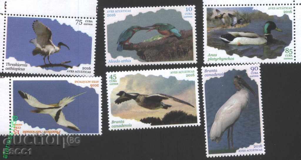 Чисти марки  Фауна  Птици  2016  Куба