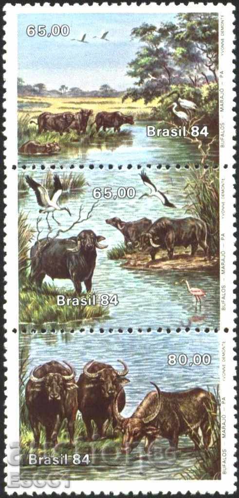 Calificativele curate Fauna bivoli 1984 din Brazilia