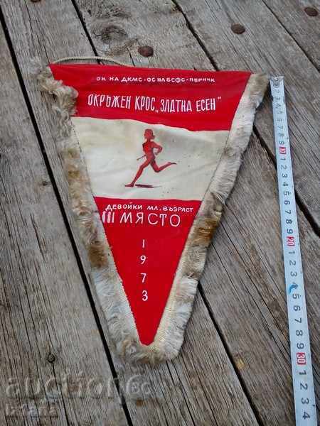 Κίνητρο παλιά σημαία 1973. Κίνητρο παλιά σημαία 1973.