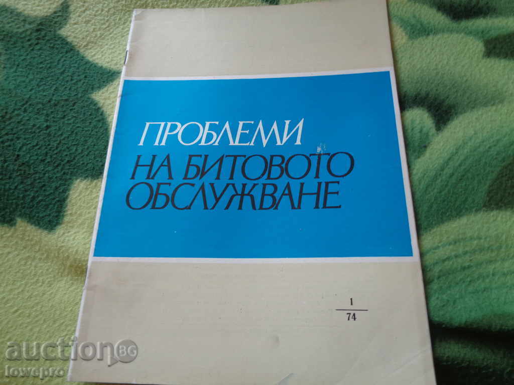 проблеми на битовото обслужване