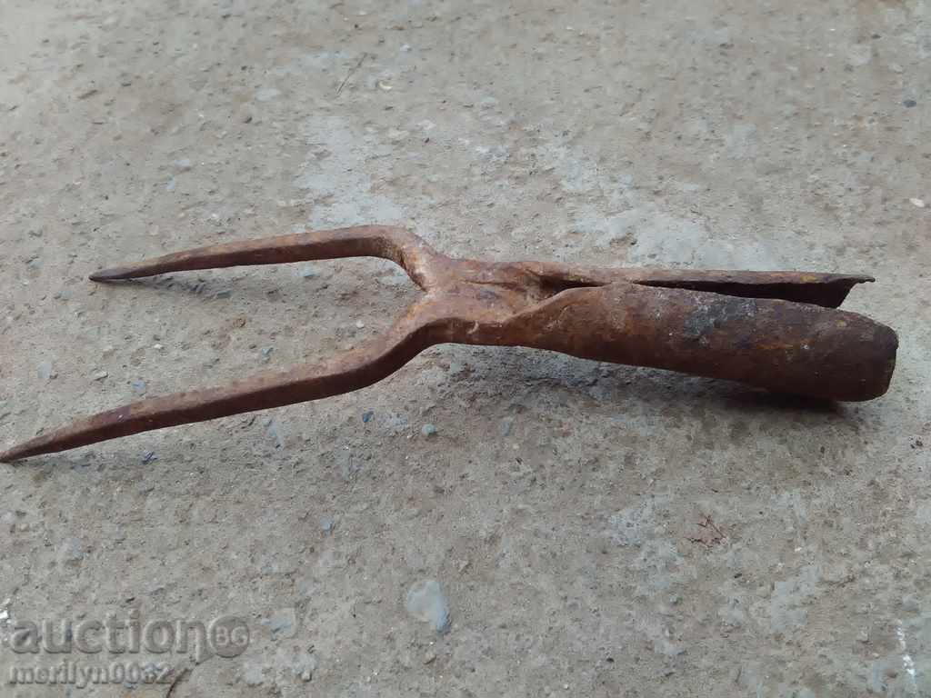 Delivery of Double tooth, villa for sugar beet extraction, stew iron Delivery of Double tooth, villa for sugar beet extraction, stew iron