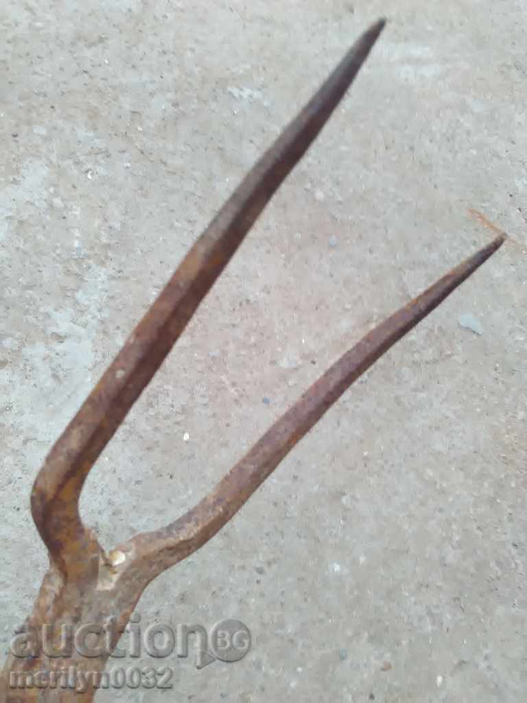 Double tooth, villa for sugar beet extraction, stew iron - 5 Double tooth, villa for sugar beet extraction, stew iron - 5