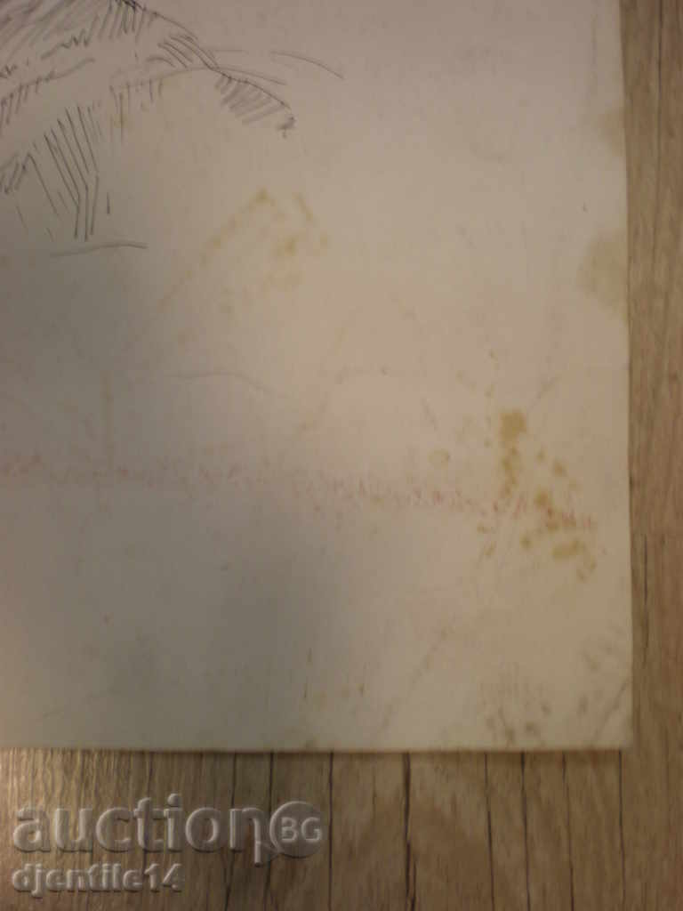 Auction Ink drawing Auction Ink drawing