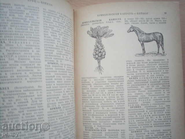 Delivery of Encyclopedia of the German Delivery of Encyclopedia of the German