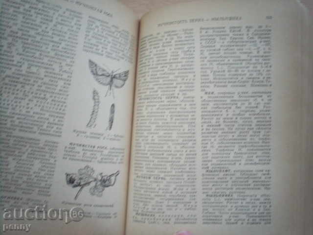 Encyclopedia of the German - 7 Encyclopedia of the German - 7