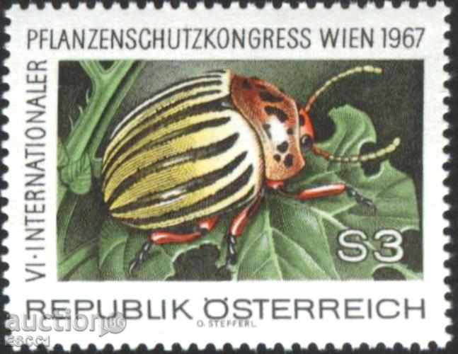 Καθαρό σήμα Πανίδα εντόμων Beetle 1967 από την Αυστρία