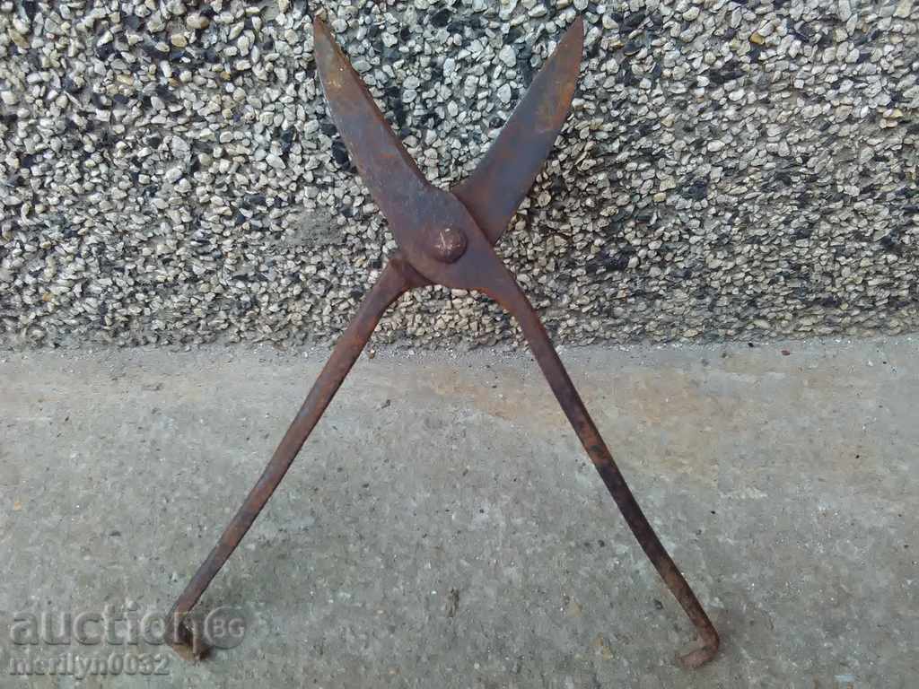 An old forged scissors - 7 An old forged scissors - 7