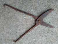 An old forged scissors