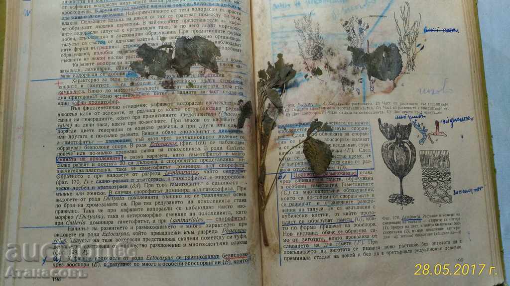 Δημοπρασία Britannica καθ. Μιχαήλ Χριστόφ 1958 Δημοπρασία Britannica καθ. Μιχαήλ Χριστόφ 1958