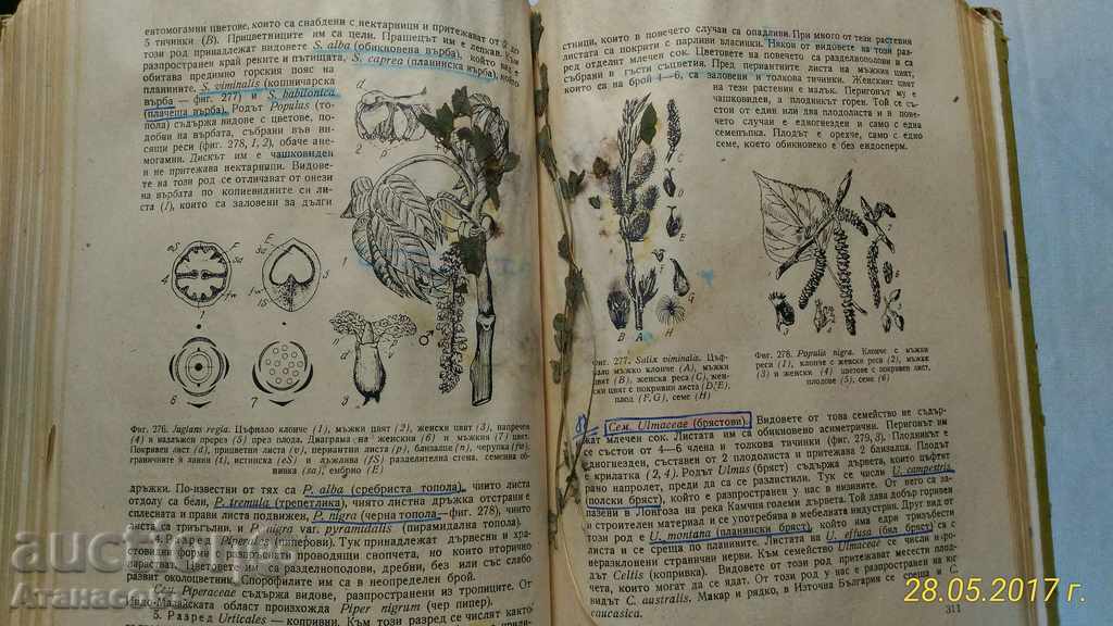 Britannica καθ. Μιχαήλ Χριστόφ 1958 - 6 Britannica καθ. Μιχαήλ Χριστόφ 1958 - 6