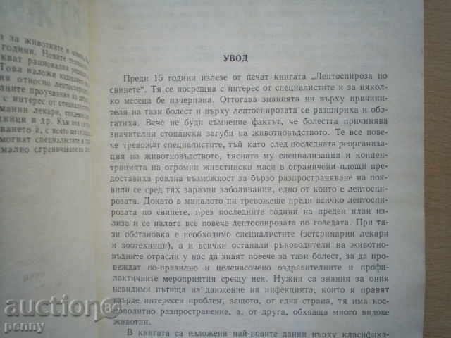 Auction  LIVESTOCK OF ANIMALS-IVAN JANKOV