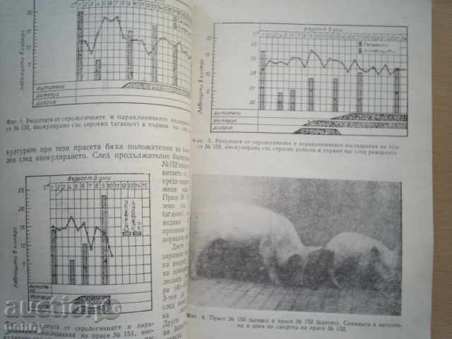 LIVESTOCK OF ANIMALS-IVAN JANKOV - 6