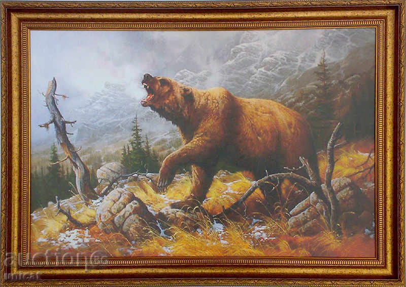 Roaring bear, picture for hunters