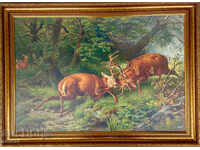 Fighting deer in the forest, picture for hunters