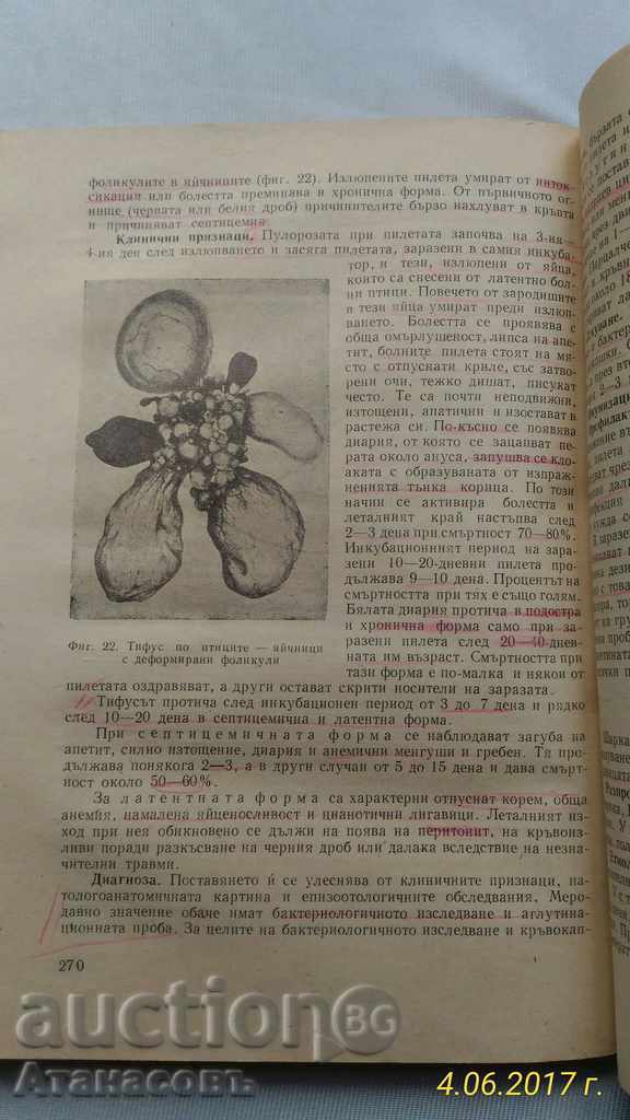 Basics of Veterinary Medicine 1963 - 5 Basics of Veterinary Medicine 1963 - 5