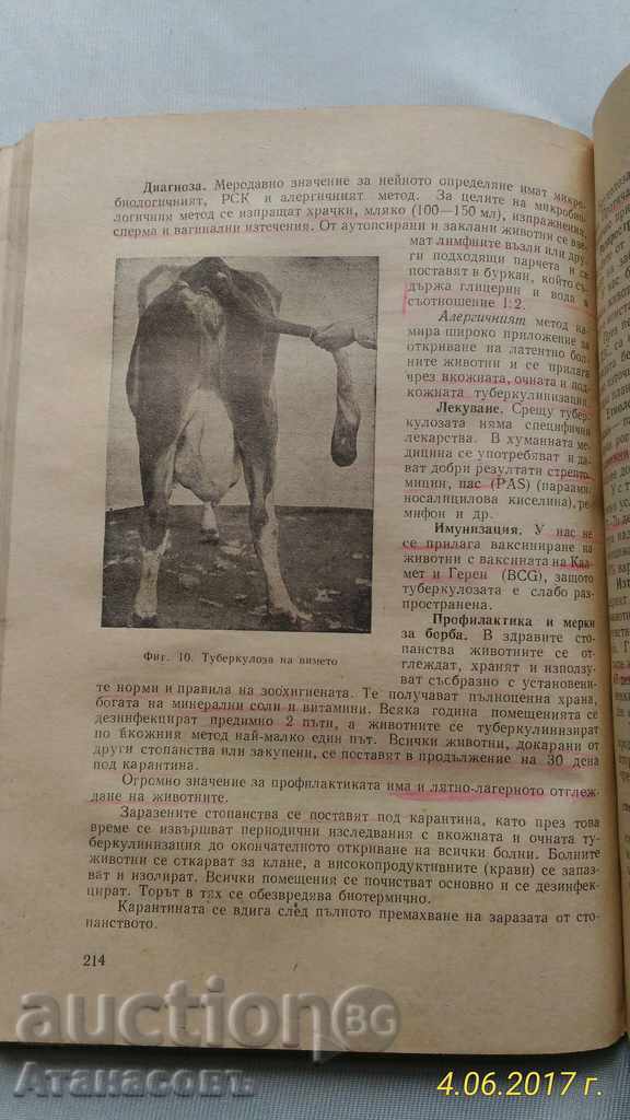 Basics of Veterinary Medicine 1963 - 6 Basics of Veterinary Medicine 1963 - 6