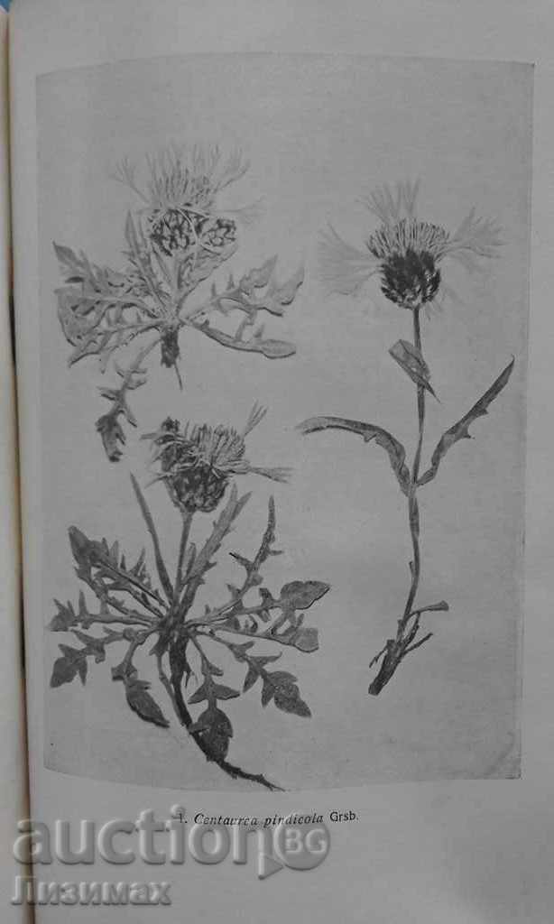 Magazine of the Bulgarian Academy of Sciences. Kn. 23/1931 - 7