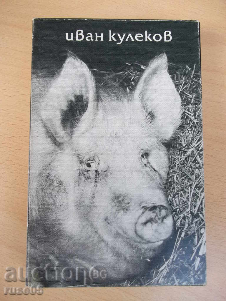Book "No Time Without Order, No Address-Ivan Kulekov" -384 p. with price 25.00 BGN | € 12.78 Book "No Time Without Order, No Address-Ivan Kulekov" -384 p. with price 25.00 BGN | € 12.78