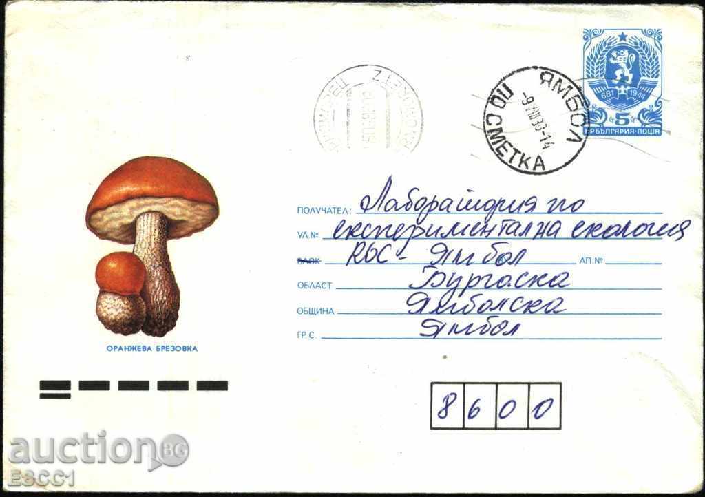 Пътувал плик  Гъби Оранжева брезовка 1988 от България