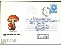 Traveled Envelope Mushrooms Orange Birch 1988 from Bulgaria